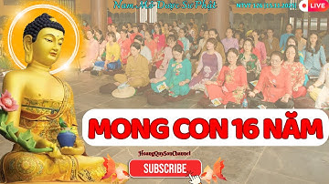 🔴NTVT|126: Mong Con 16 Năm!!! (Đỗ Thị Hạnh-35 Tuổi) [15.11.2025]