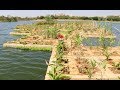 Rejuvenation of Neknampur lake