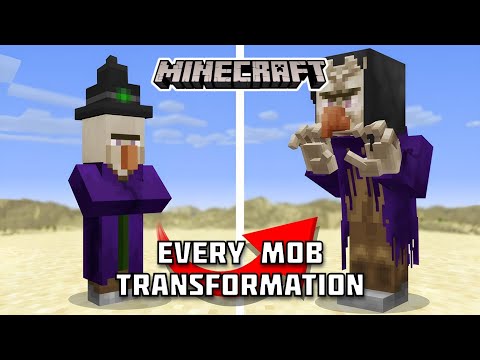 Every MOB transformation in Minecraft!