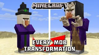 Every Mob Transformation In Minecraft
