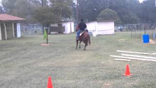 WP 20141115 14 24 09 Pro