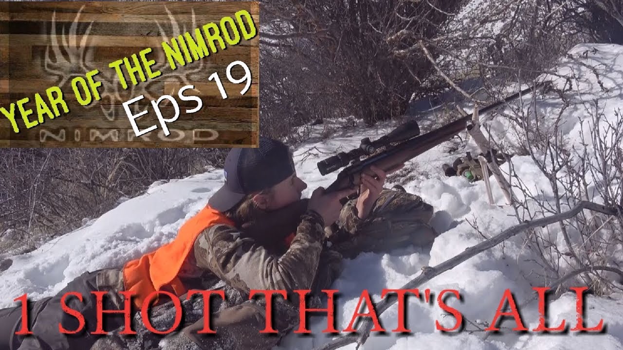 1 Shot Thats All 2018 Utah Cow Elk Hunt Year Of The Nimrod Eps 19 1-shot-thats-all-2018-utah-cow-elk-hunt-year-of-the-nimrod-eps-19