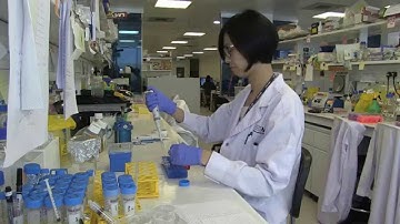 Mechanobiology Institute, National University of Singapore