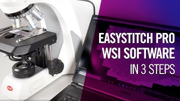 EasyStitch Pro WSI software in 3 steps | by Motic Europe