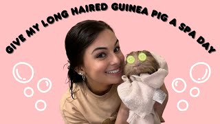 Give My Guinea Pig A SPA Day With Me (went better than expected!)