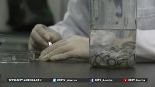 Hospital innovates bio-engineered-cornea transplants using pig tissue