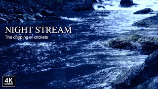 Tranquil Beauty of the Night Stream. The beautiful stream and the chirping of crickets. 4K ASMR