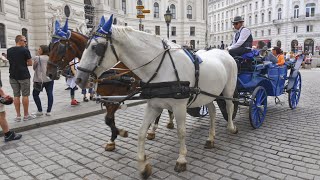 The Streets Of Vienna