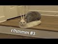 r/hmmm Best Posts #3