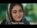 Humrahi Drama Ka Review and Explain by Peyari t