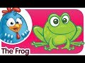 Youtube Thumbnail title