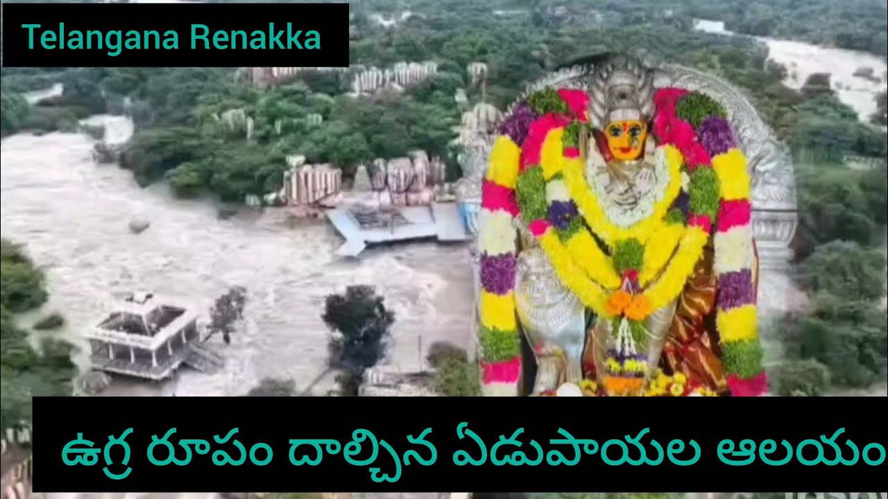 ఉగ్ర రూపం దాల్చిన ఏడుపాయల నది#పూర్తిగా నీట మునిగిన ఆలయం #దయచేసి వీడియో last వరకు చూడండి #Telangana
