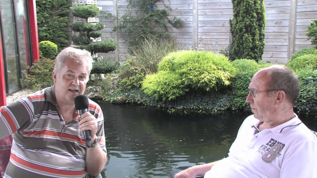 Un bassin a koi de grand champion