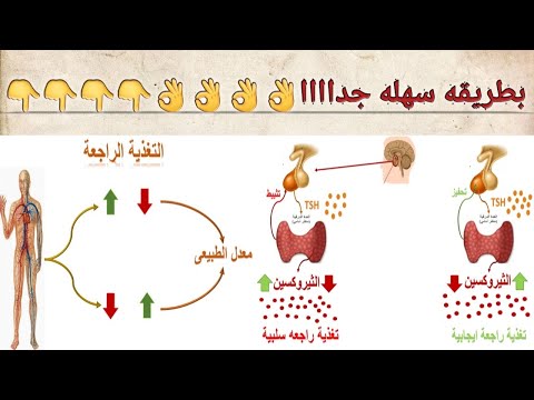 التغذيه الراجعه ٣ث