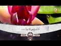 27 Holly Quran Toyor Al Janah القران قران طيور الجنة 