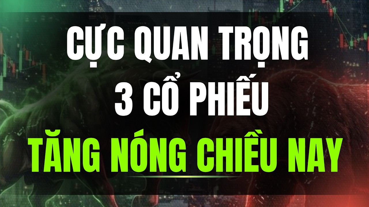 CỰC QUAN TRỌNG. 3 CỔ PHIẾU TĂNG NÓNG CHIỀU NAY