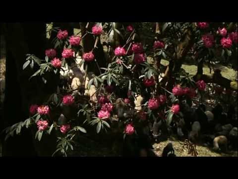 GANGA TERA PAANI AMRIT : Ode To Ganga: