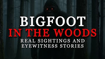 BIGFOOT IN THE WOODS: REAL SIGHTINGS & EYEWITNESS STORIES