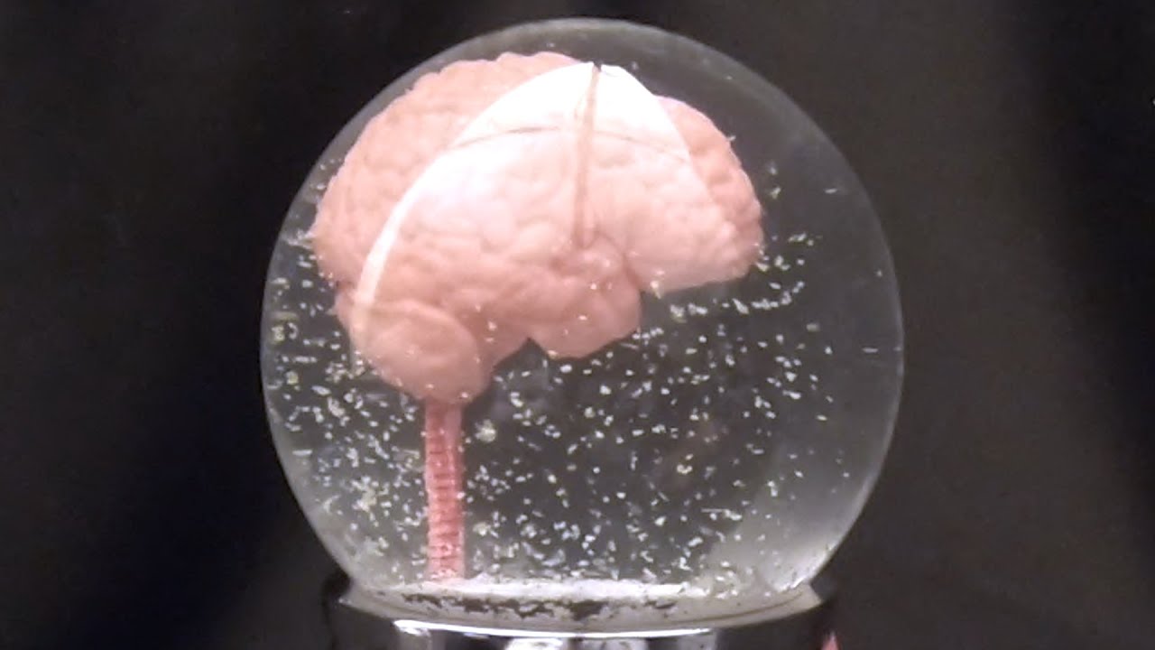 Ep. 132 - The Brain - D.I.Y Custom Snow Globe - Full Build