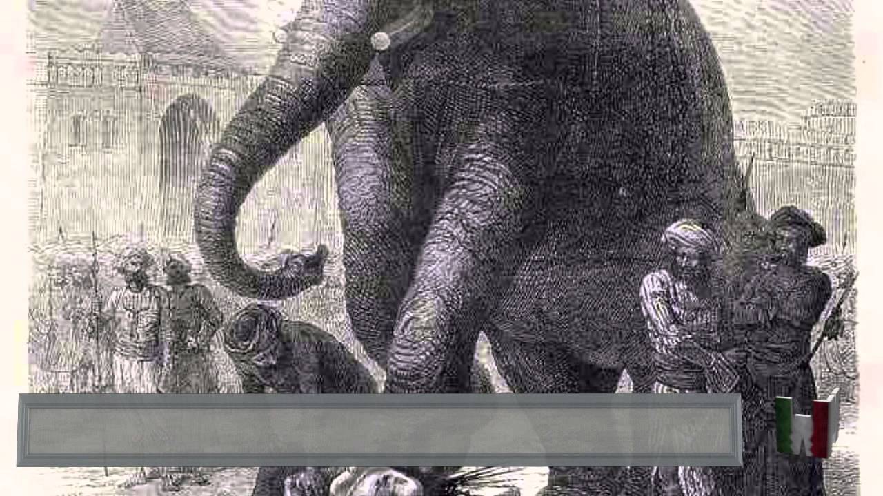 Despues de aprobada la visa cuanto tarda en llegar Despues de aprobada la visa cuanto tarda en llegar