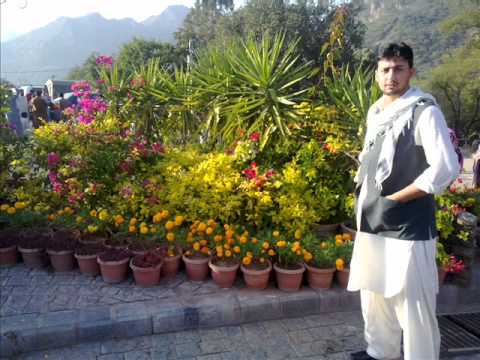 tawakal khan