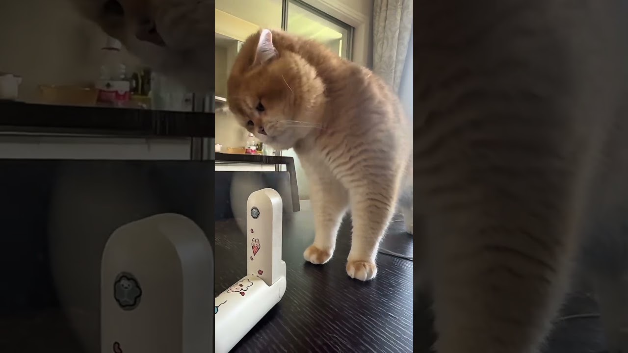 Engineer mode: Activated. Let's fix this fan!