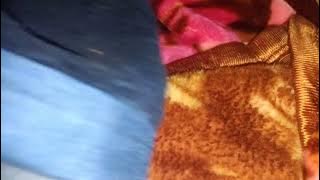 Where's my pen 🖊️