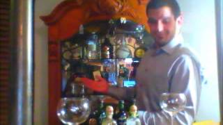 Rahaam Dormishian Minibar Term Project Hspm 108