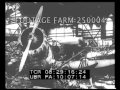 WWII German &amp; Japanese Military 250004-16.mp4 | Footage Farm