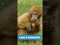 What Am I Quiz Question 7 - Animals