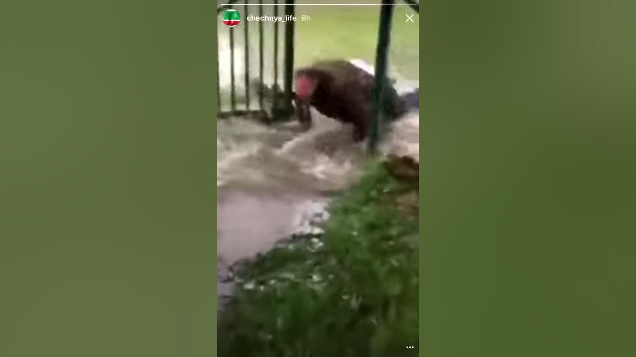 Я щас приду - YouTube