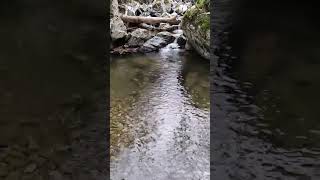 ARROYO DE MONTAÑA PEDREGOSO EN AREA DE ARANTZAZU-OÑATI-PAIS #naturaleza #rios #paisajes #nature