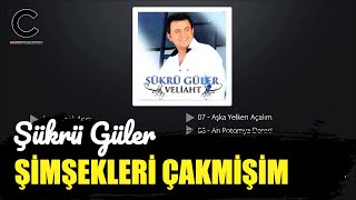 Şükrü Güler - Şimşekleri Çakmışım (Horon Kemençe)