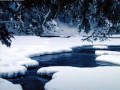 Holly jolly christmas-Burl Ives(with Lyrics) Mp3