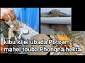 Ubada Tubu Chongngi Potsem Touraga Migi Punshi Manghange Khanba Fongna Siknabagi Kibagi 