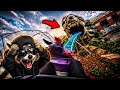 This Roller Coaster Goes Into a WOLF’S MOUTH… 😳🎢 100% Wolf, Plopsaland Deutschland