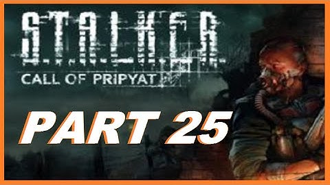 S.T.A.L.K.E.R.: Call of Pripyat Let