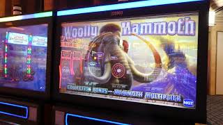 Woolly Mammoth Slot Machines The Venetian Hotel Las Vegas Nevada May 6, 2026