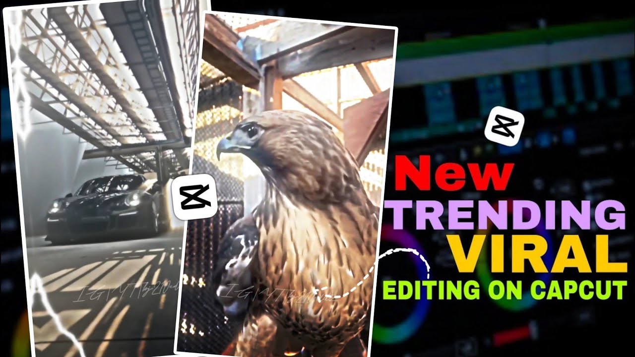 how to make eagle trending reel video Editing 