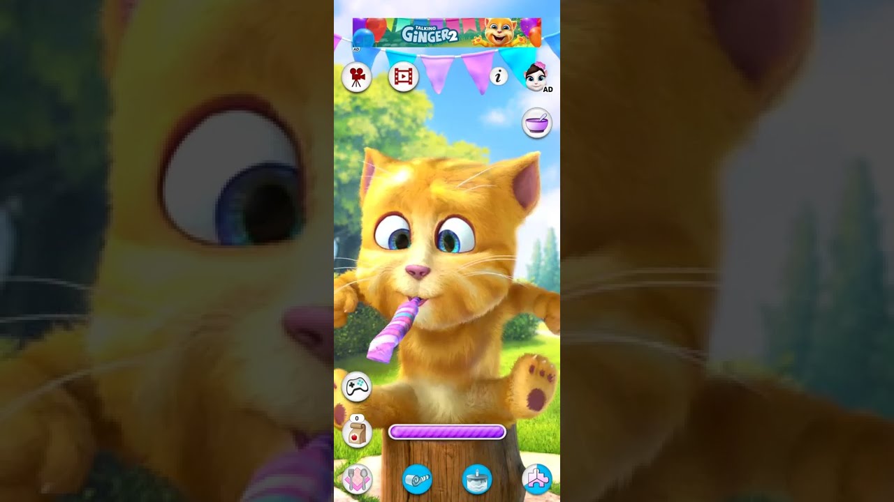 Talking Ginger 5 Shorts