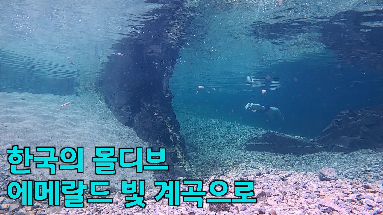 [수심 깊은, 3M] 한 번 가면 단골이 될 수 밖에 없는 계곡 - YouTube