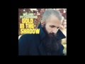 William Fitzsimmons - Gold in the shadow (2011)