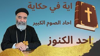 انظروا إلى طيور السماء - تأملوا زنابق الحقل - آحد الكنوز