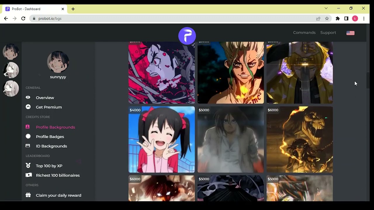 How to change your Rank Background on ProBot - YouTube