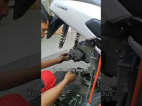 Bunyi Klotok-klotok di