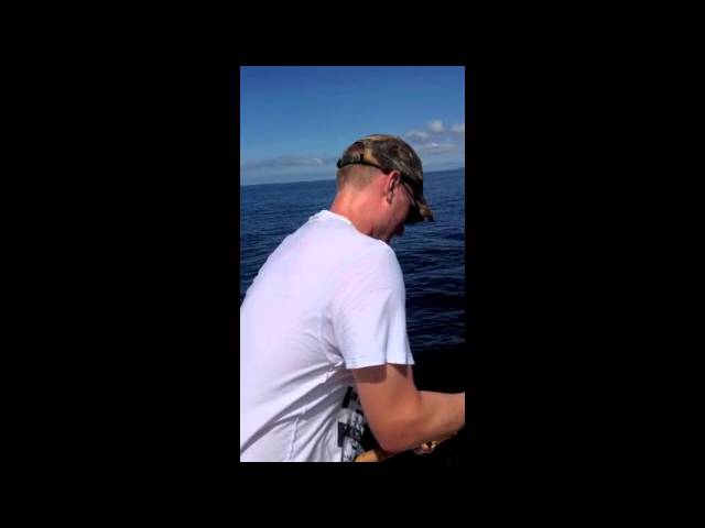 Hot Summer Cobia Fishing Sanibel Island Florida