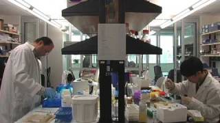 Janet Rossant: Personalized Medicine