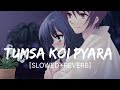 Tumsa Koi Pyara Kumar Sanu Slowed Reverb Hindi Lofi Song Tumsa Koi Pyara Kumar Sanu Slowed Reverb Hindi Lofi Song