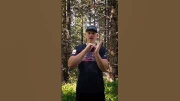 How To Make An Elk Bugle​