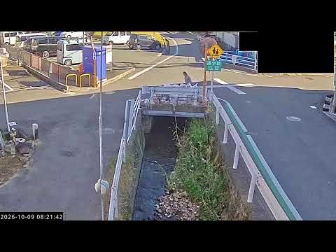 香芝市 鳥居川 のライブ映像
